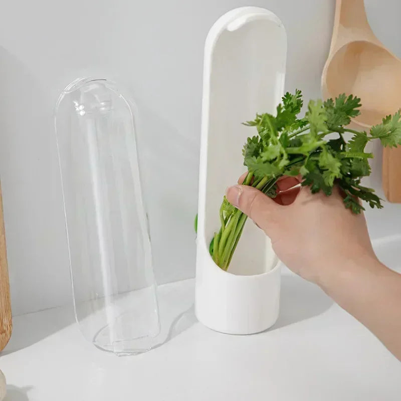 Refrigerator Herb Crisper Saver Pod Container Vegetable Preserving Bottle Keep Herb/Cilantro/Mint/Parsley/Asparagus Fresh Home